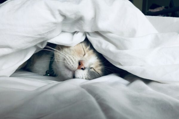 Restorative Sleep & Gentle Rituals Coaching